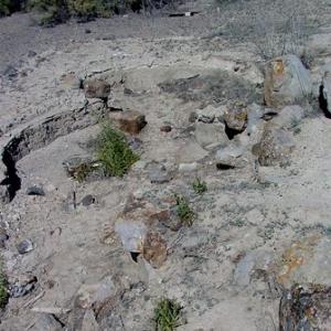 Remnants of a garden at the Topaz Camp site