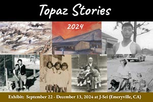 Topaz Stories exhibit poster