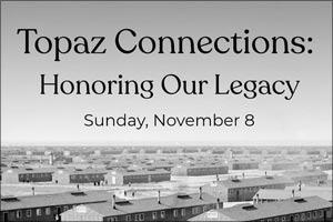 Topaz Connections Announcement